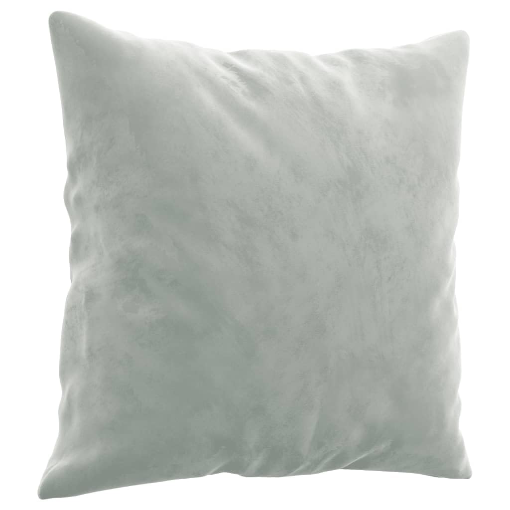 Light Gray Velvet 2 Piece Sofa Set with Throw Pillows Z61222
