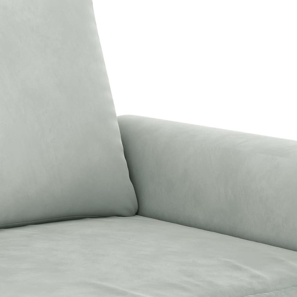 Light Gray Velvet 2 Piece Sofa Set with Throw Pillows Z61222