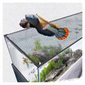 Aquarium Anti-Jump Net Cover (55.1" x 23.6") B373424