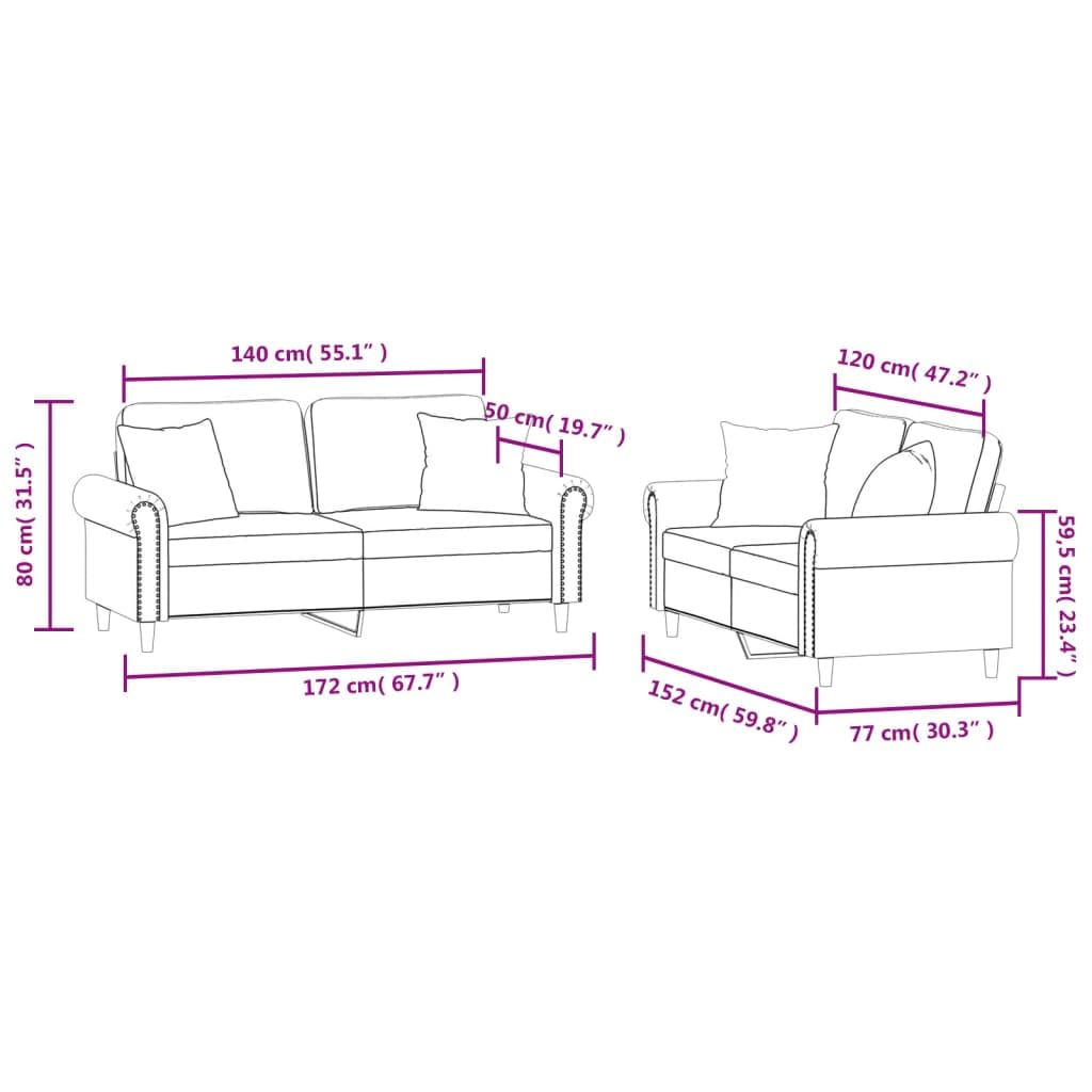 Light Gray Velvet 2 Piece Sofa Set with Throw Pillows Z61222