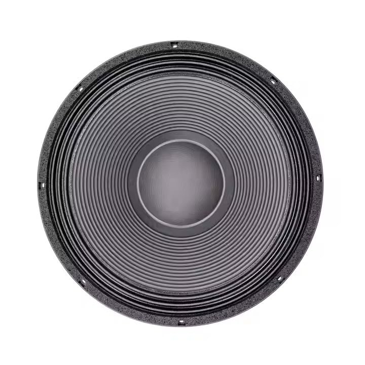 18-Inch Subwoofer Speaker Driver 1200W RMS 8Ω X469