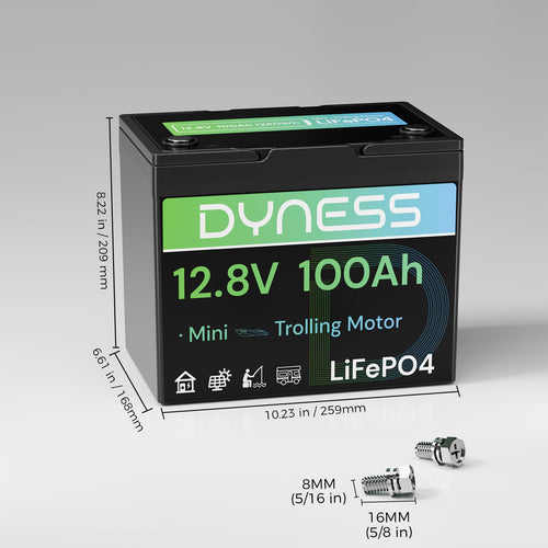 12V 100Ah Mini LiFePO4 Lithium Battery B85730