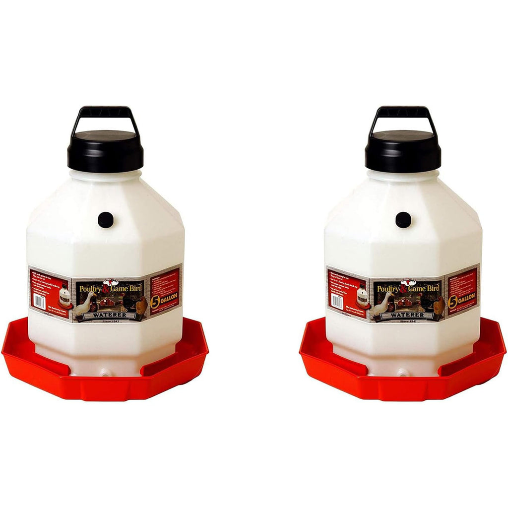 5 Gallon Hanging Automatic Poultry Waterer Dispenser, 2-Pack G915419