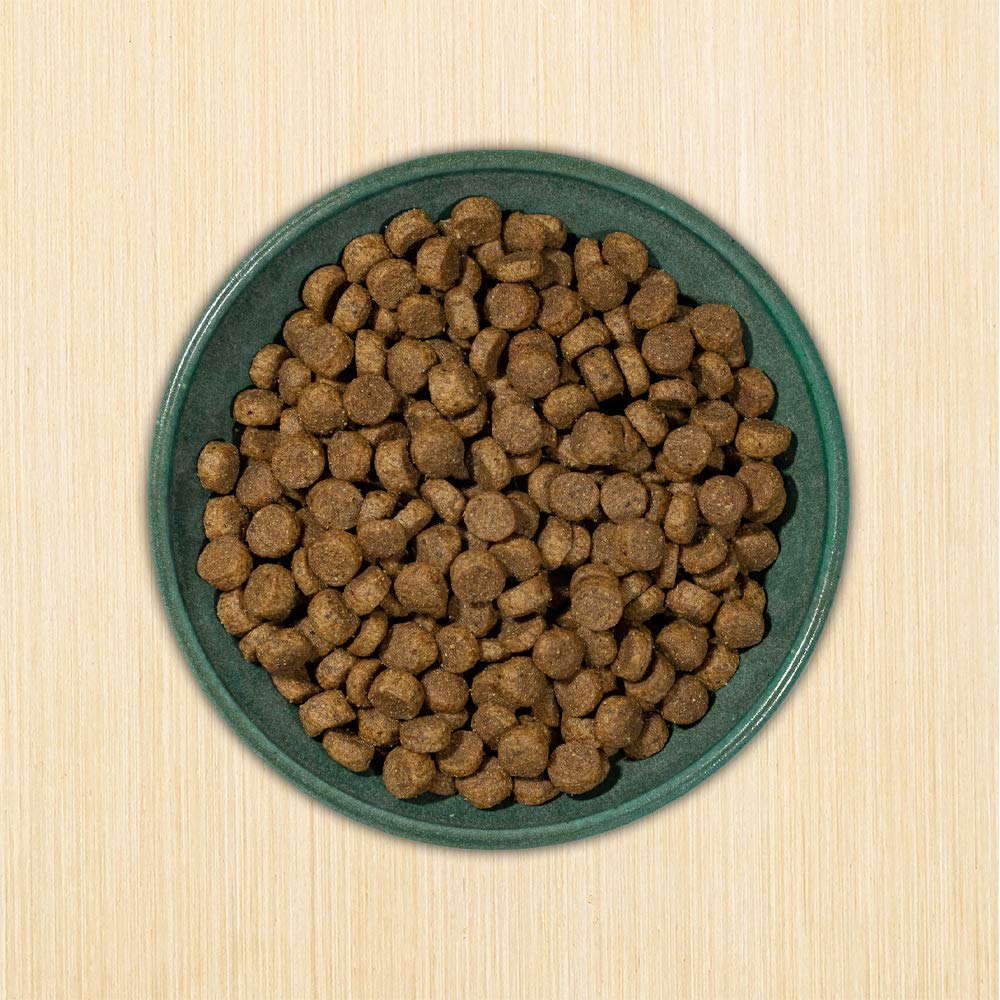 Dry Dog Food, 25% Protein Chicken & Brown Rice, 12-lb Bag K73863