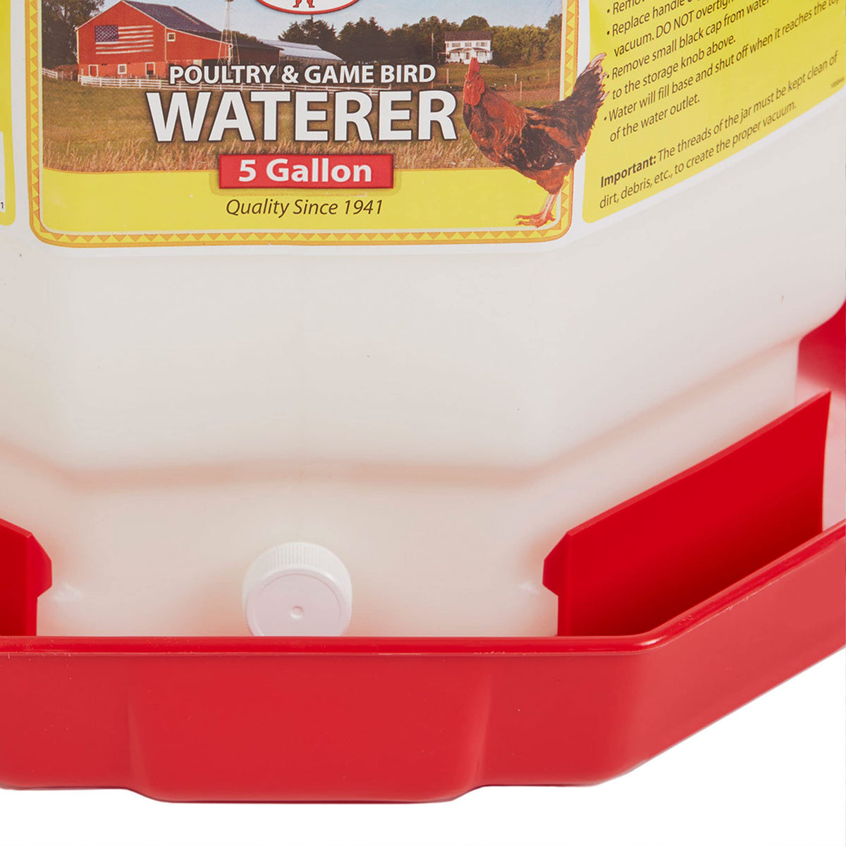 5 Gallon Hanging Automatic Poultry Waterer Dispenser, 2-Pack G915419