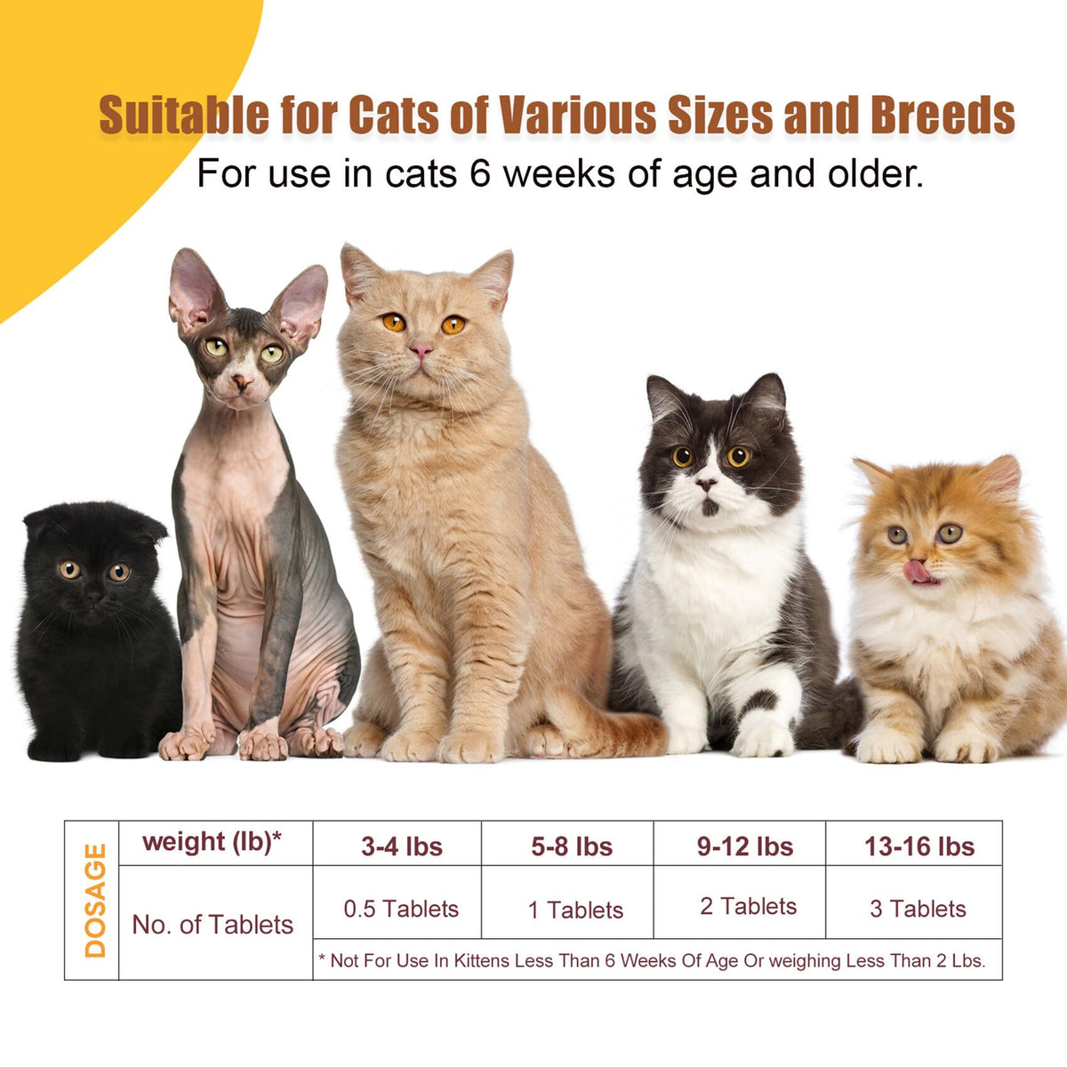Broad Spectrum Cat & Kitten Dewormer A9409