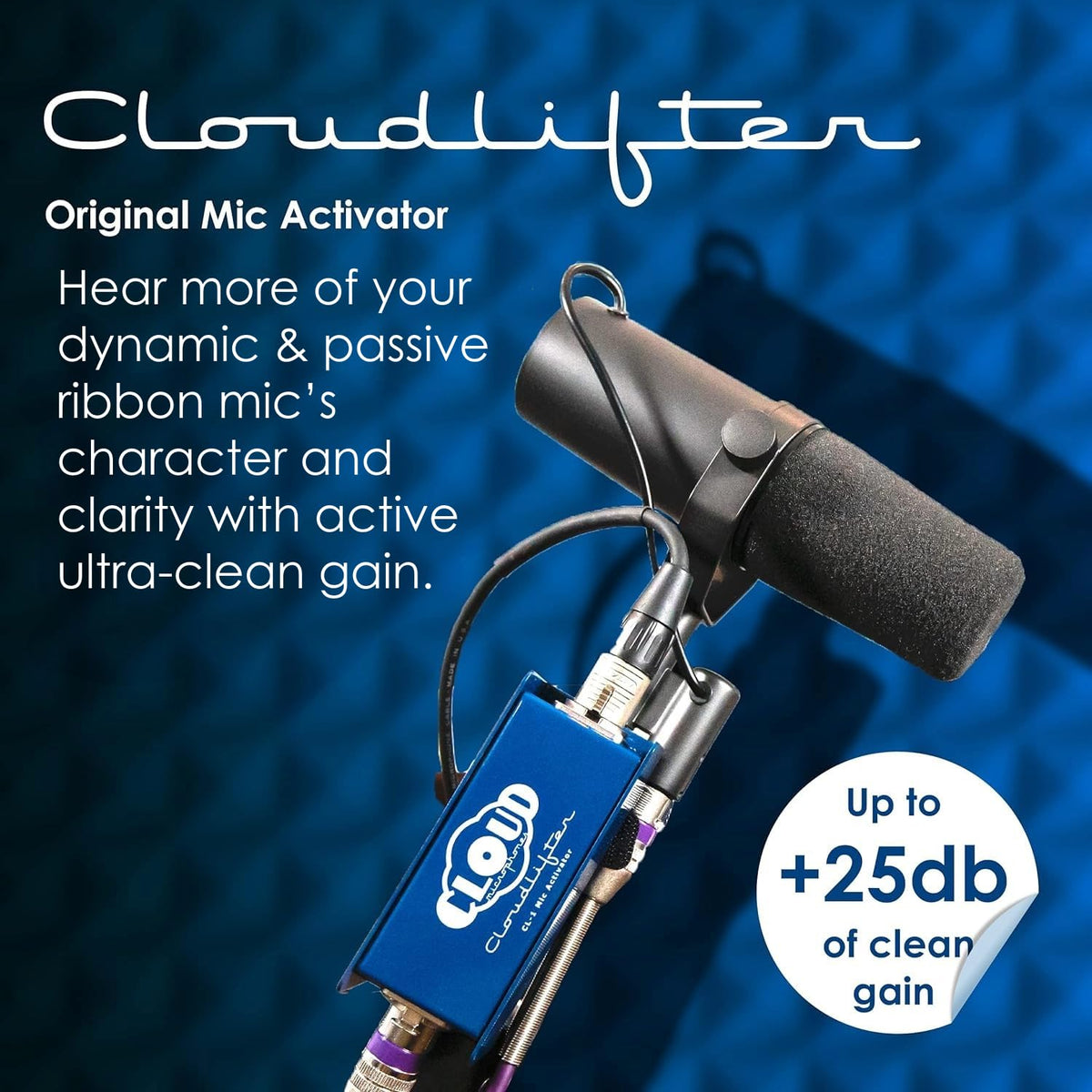 Microphones with XLR Cable Q894