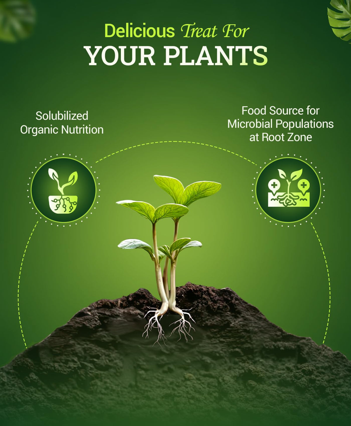 Liquid Plant Fertilizer 0-1-3 1 Pint R4427