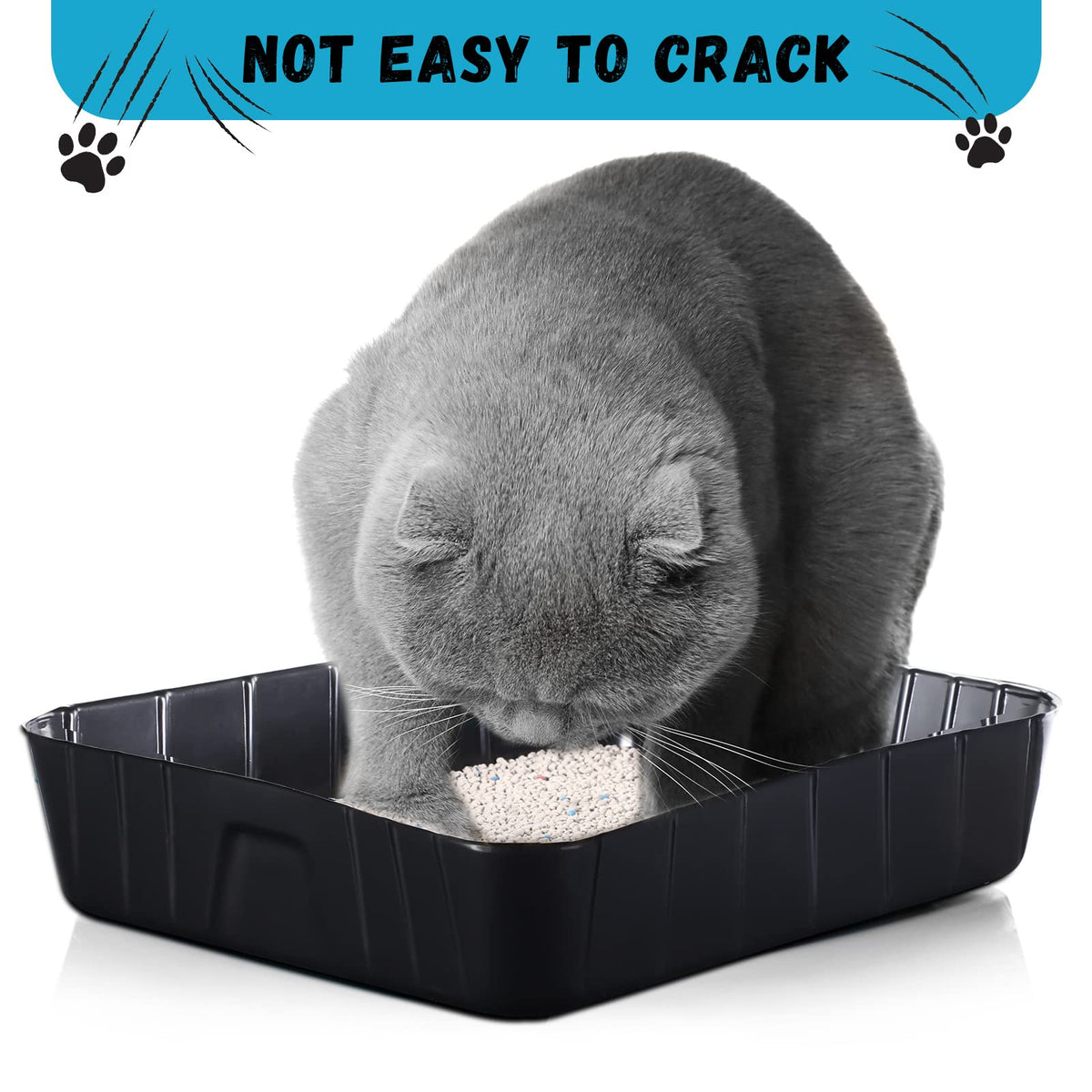 Black Disposable Litter Box for Cats G236