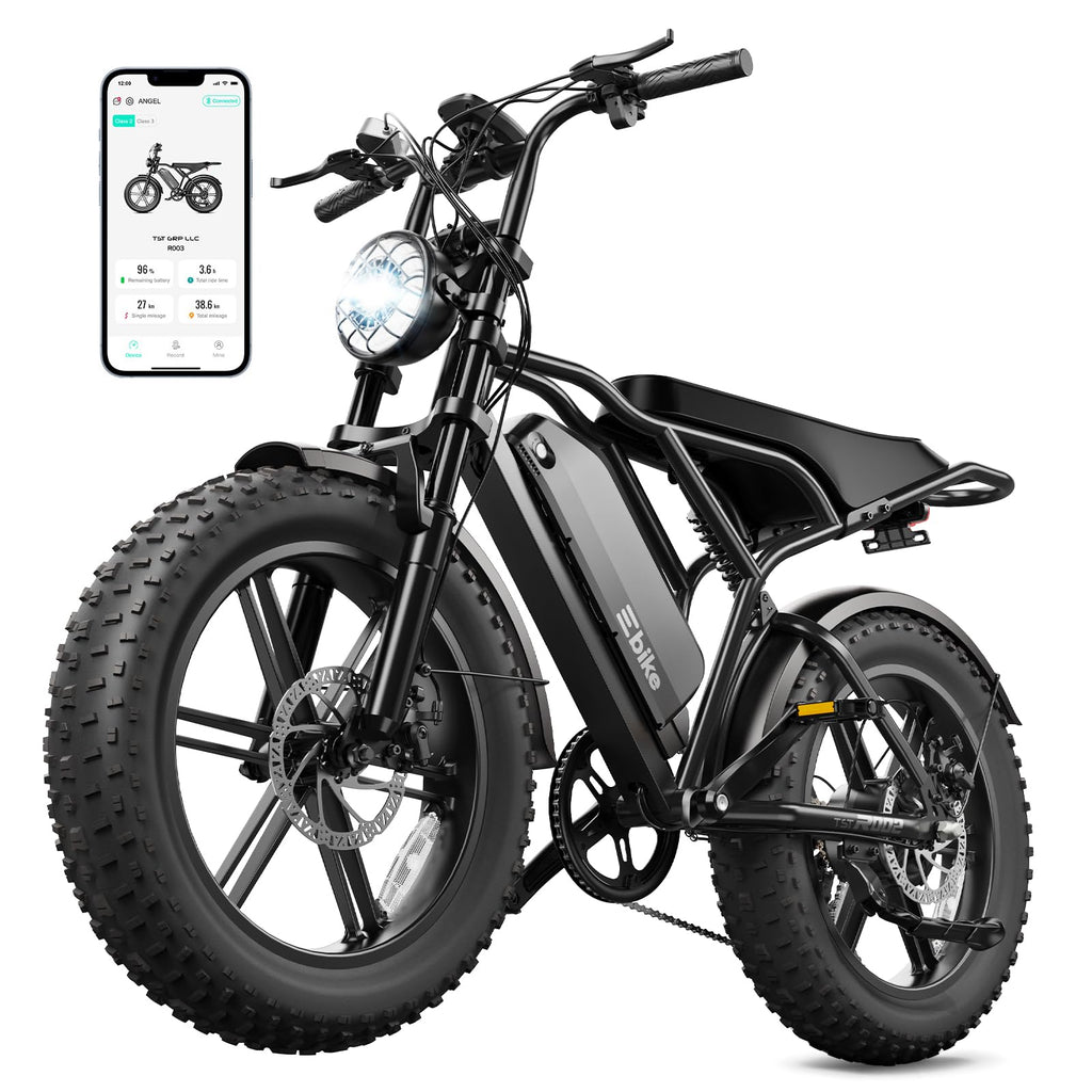 Electric Bike for Adults 48V 15Ah Fat Tire P3103