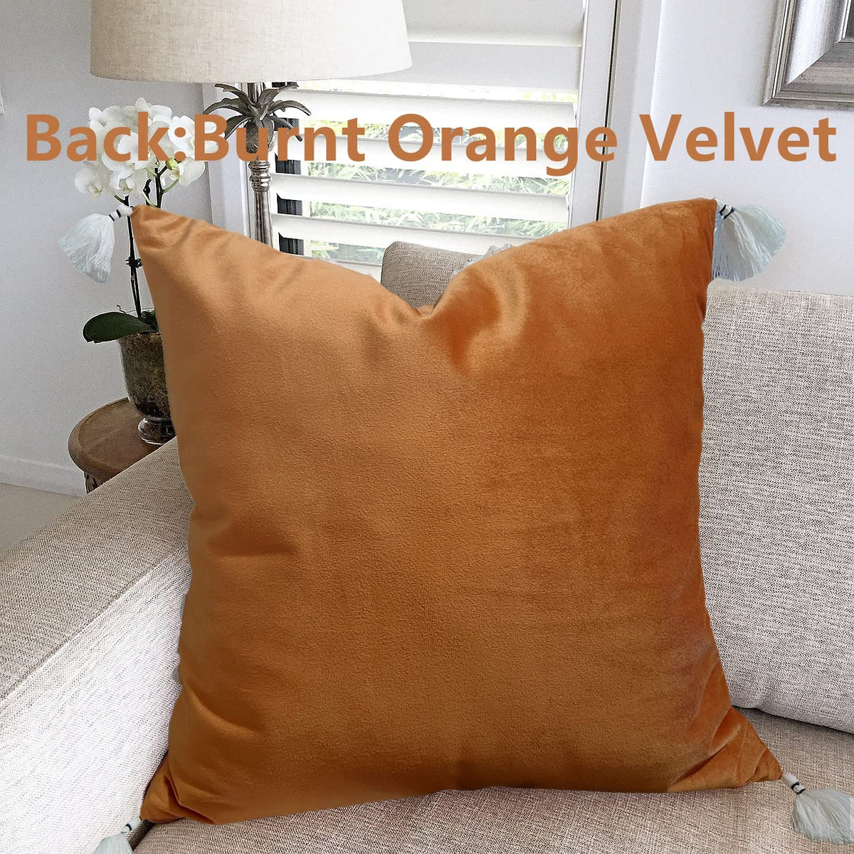 Boho Decorative Throw Pillow Cover with Tassels Fringe 18''x18'' Q369254