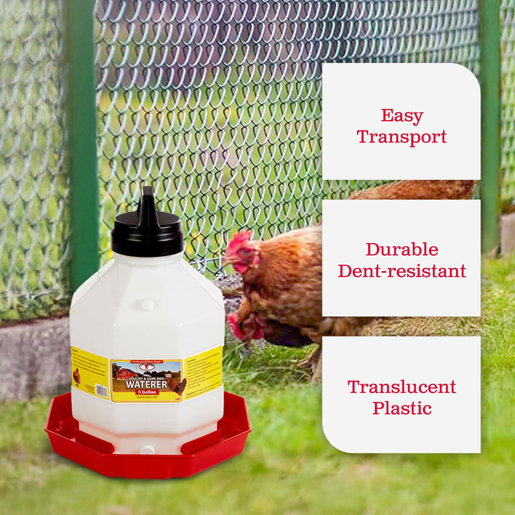 5 Gallon Hanging Automatic Poultry Waterer Dispenser, 2-Pack G915419