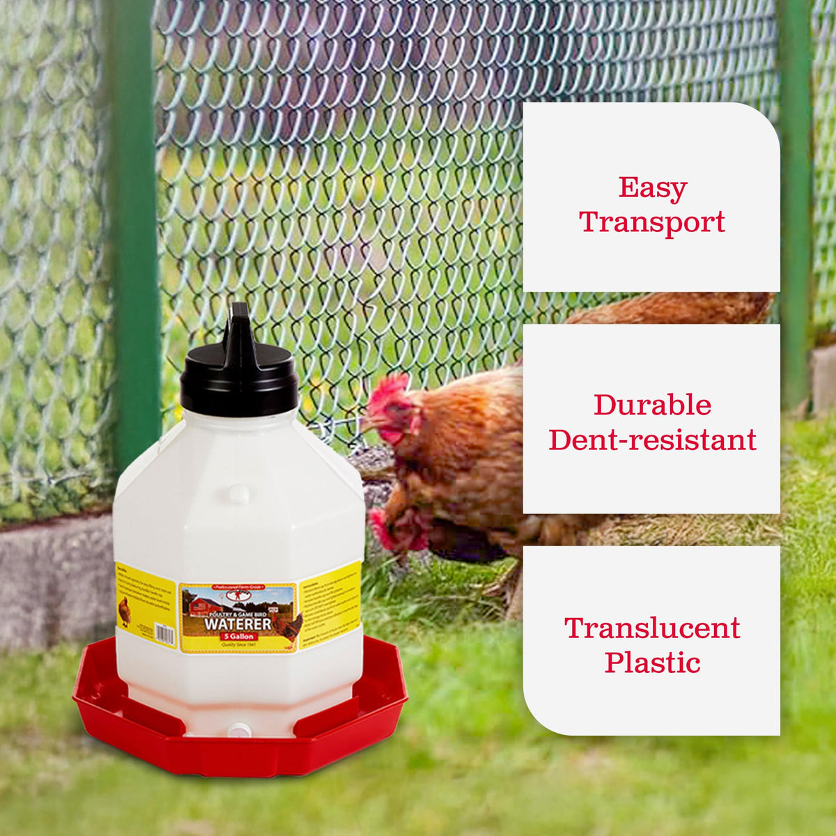 5 Gallon Hanging Automatic Poultry Waterer Dispenser, 2-Pack G915419