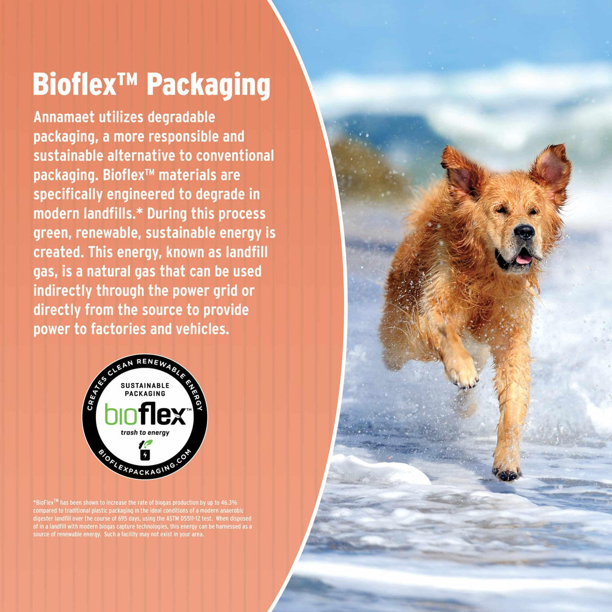 Dry Dog Food, 25% Protein Chicken & Brown Rice, 12-lb Bag K73863