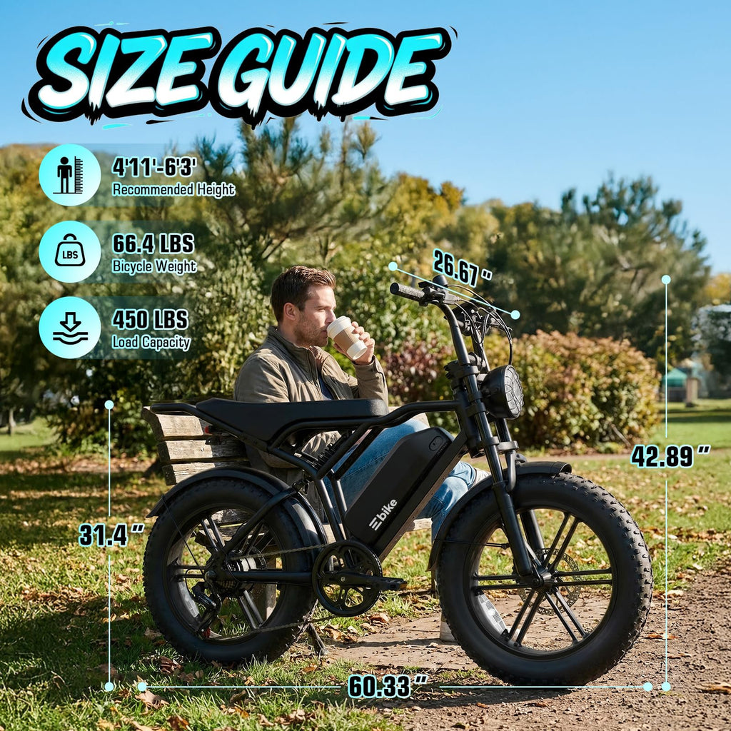 Electric Bike for Adults 48V 15Ah Fat Tire P3103