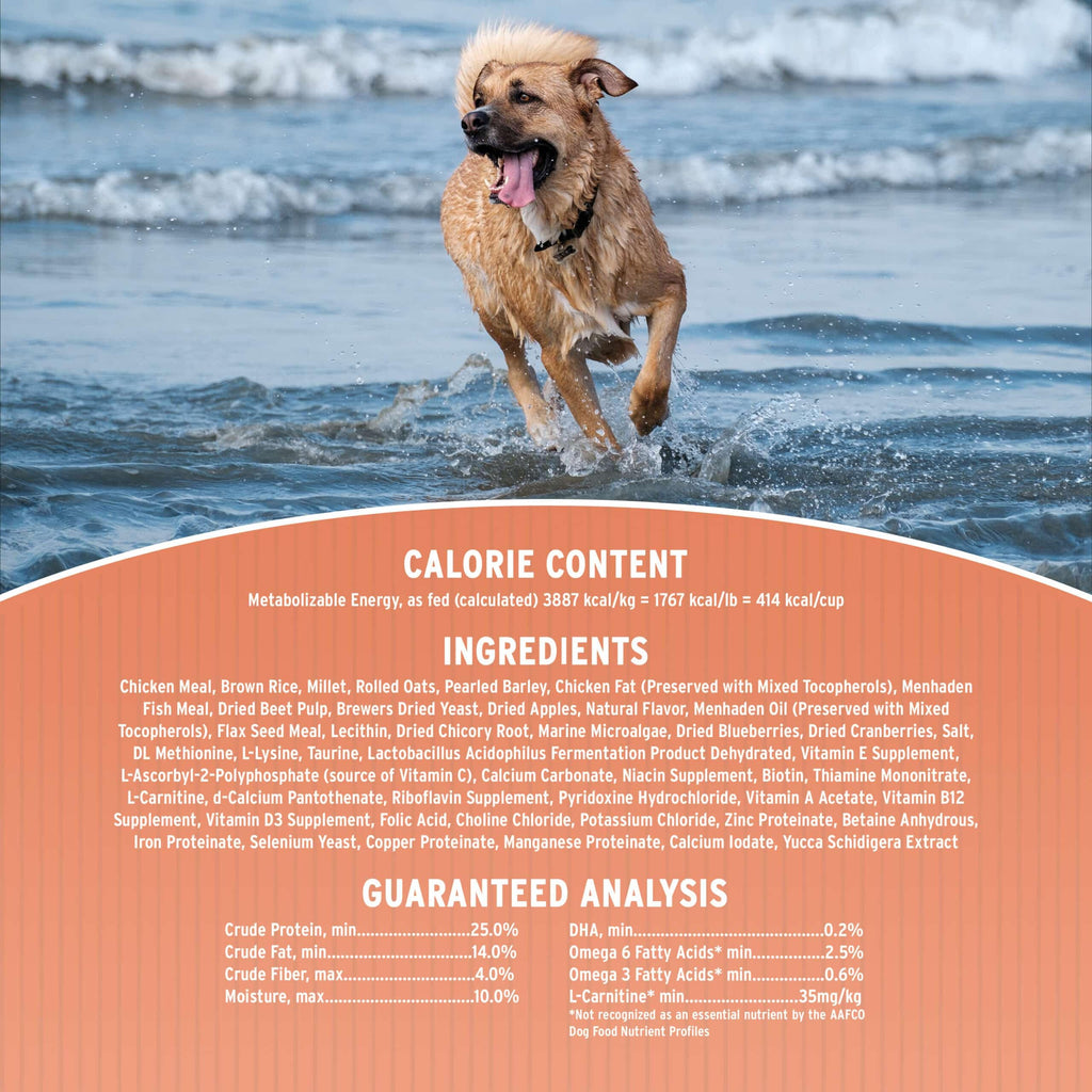 Dry Dog Food, 25% Protein Chicken & Brown Rice, 12-lb Bag K73863