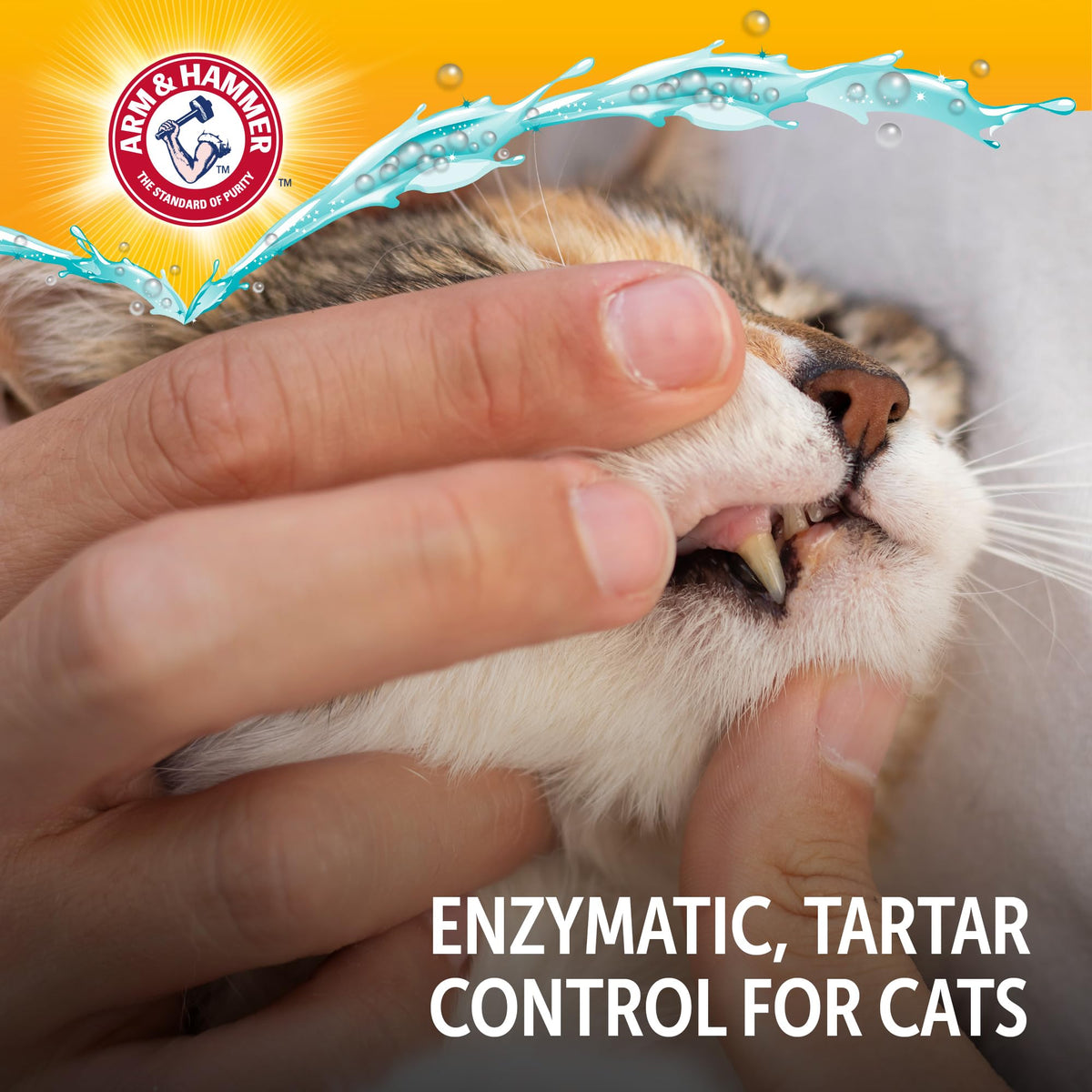 Tuna Flavor 2.5 Oz Cat Dental Kit Y88599
