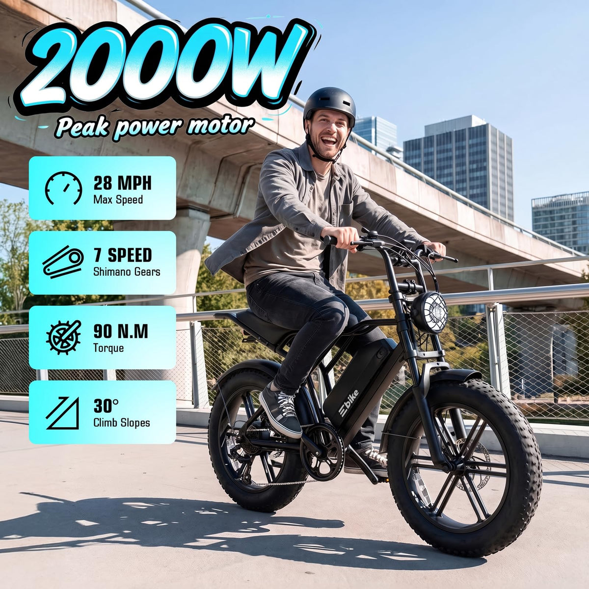 Electric Bike for Adults 48V 15Ah Fat Tire P3103