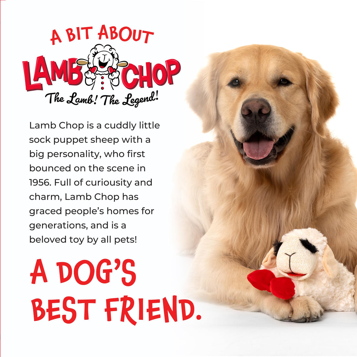 Dog Plush Squeaky Toy A522571