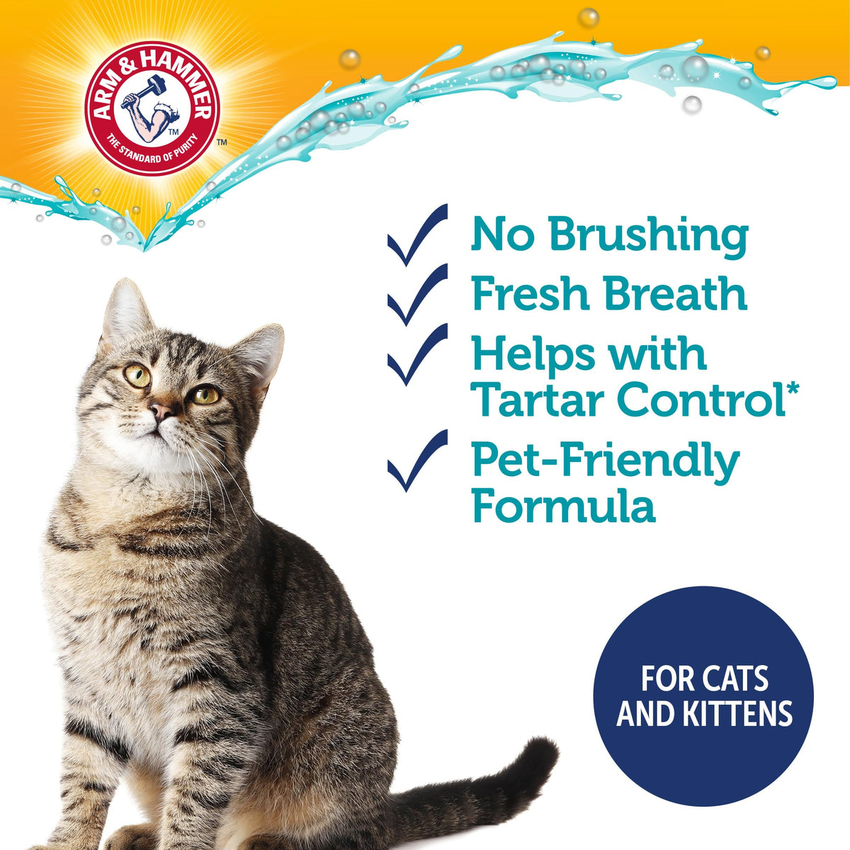 Tuna Flavor 2.5 Oz Cat Dental Kit Y88599
