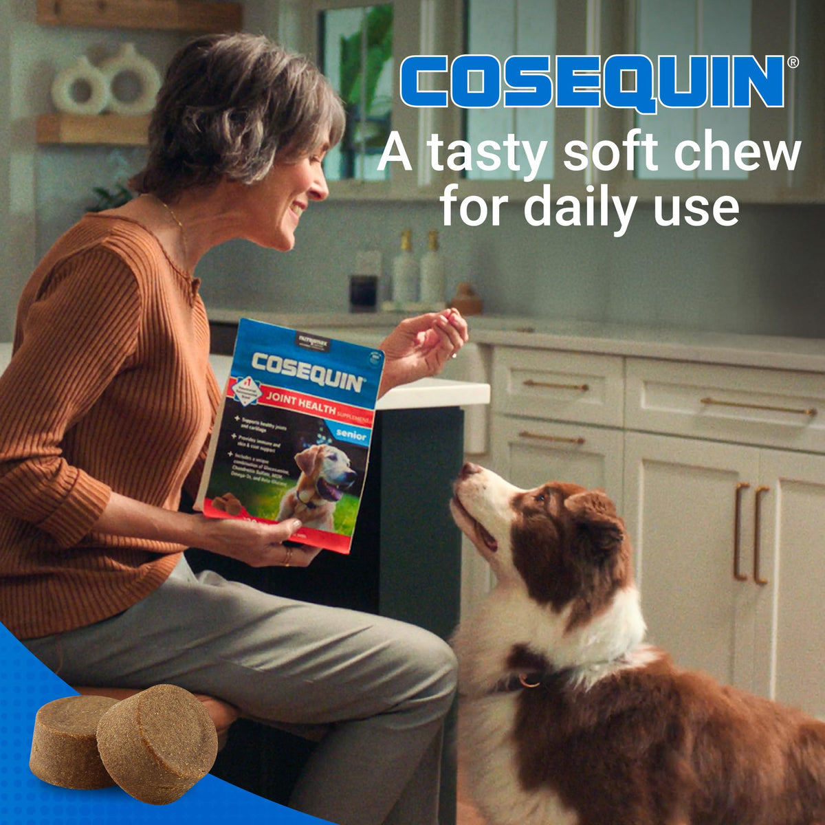Soft Chews Dog Joint Supplement 60ct J937741