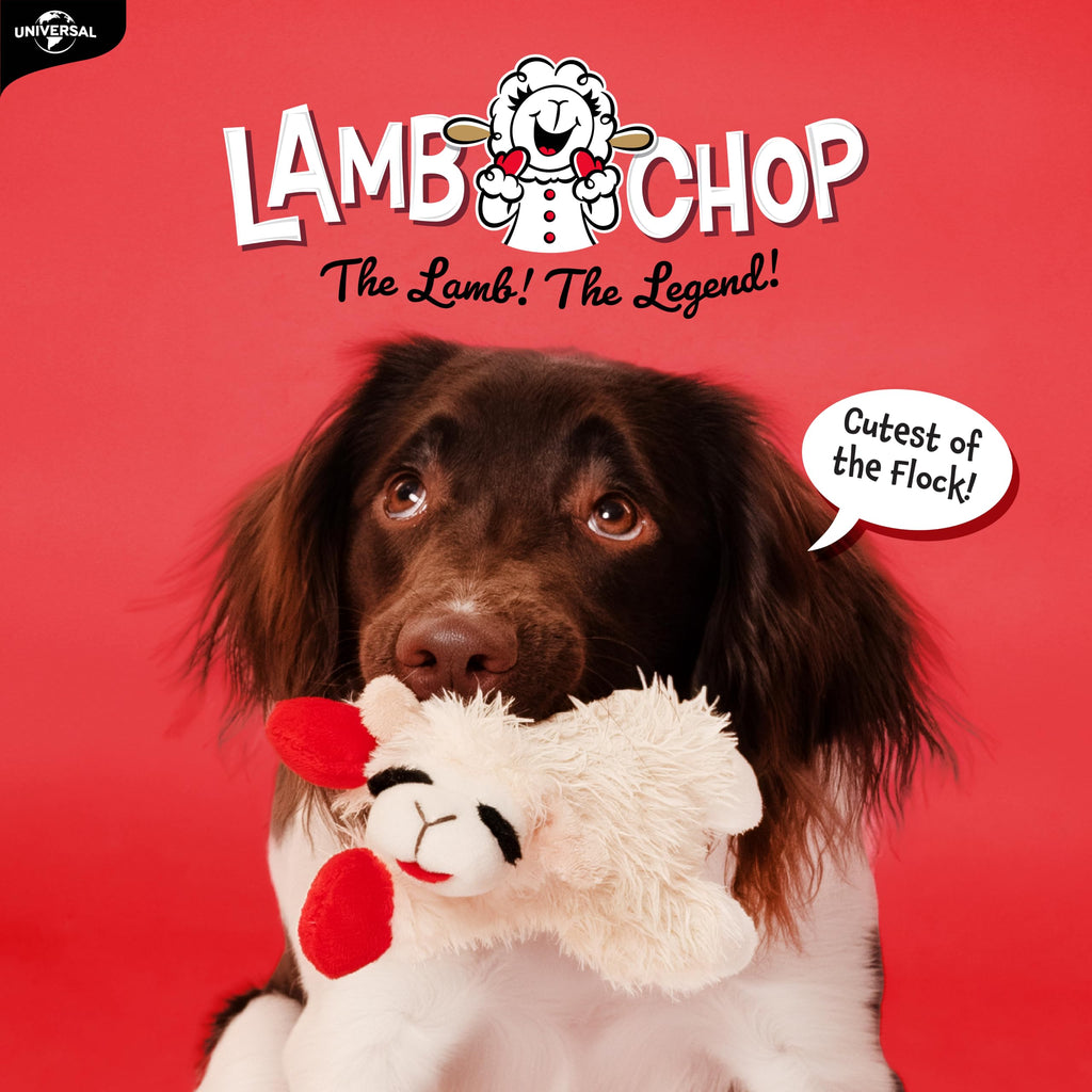 Dog Plush Squeaky Toy A522571