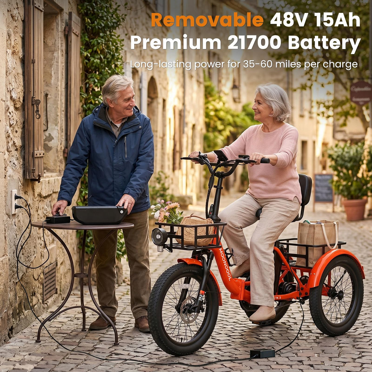 Fat Tire Folding Electric Tricycle U218154
