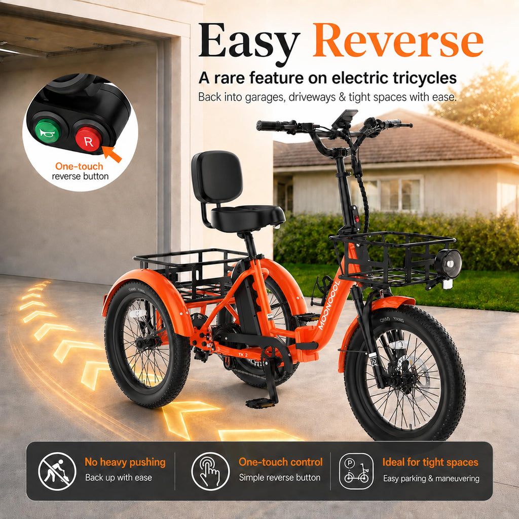 Fat Tire Folding Electric Tricycle U218154