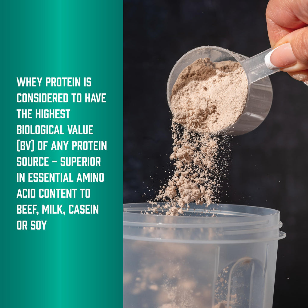Whey Protein Isolate 25 g With BCAAs Chocolate 5 lbs H81425