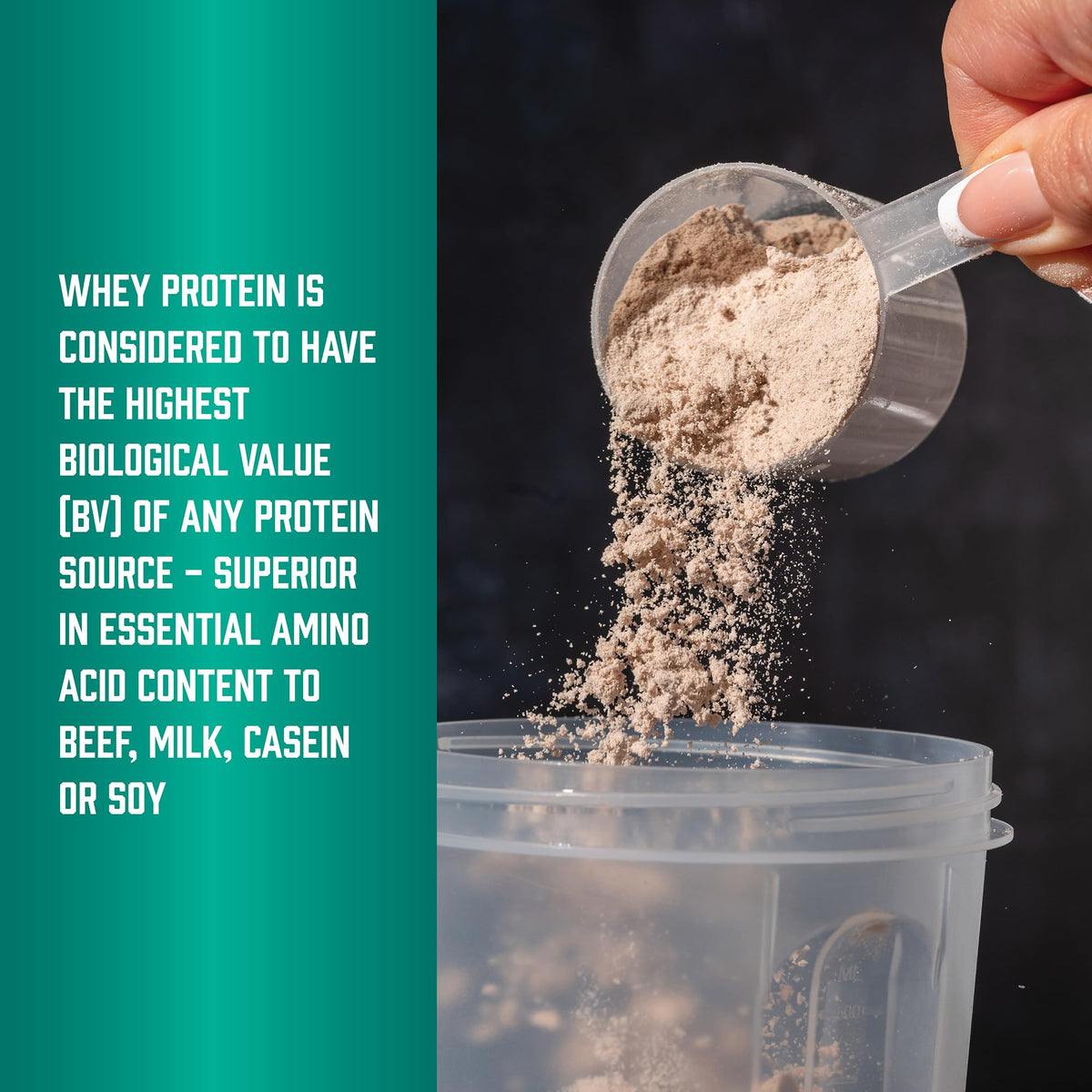 Whey Protein Isolate 25 g With BCAAs Chocolate 5 lbs H81425