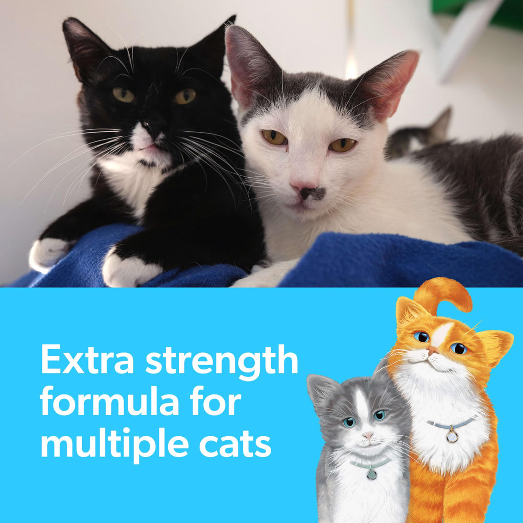 Scented Multi-Cat Litter 25 Lb D11333