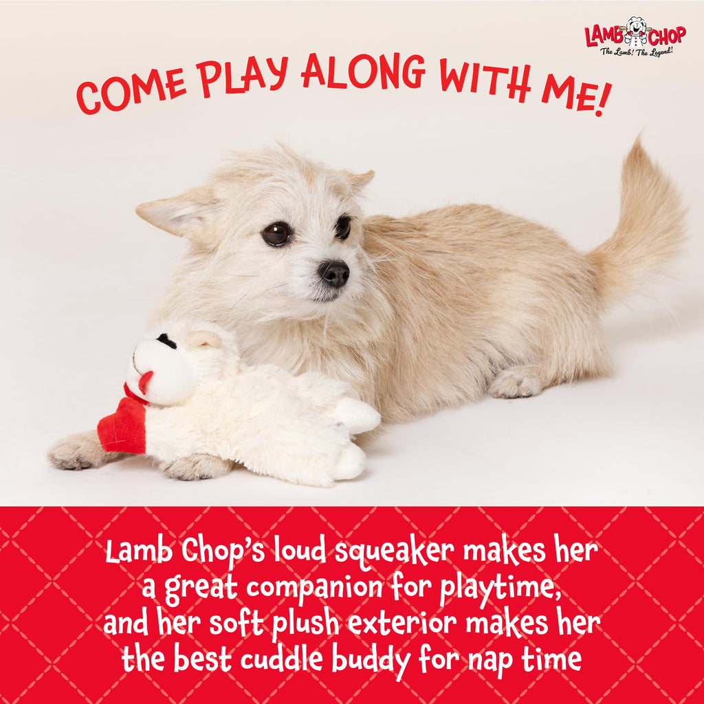 Dog Plush Squeaky Toy A522571