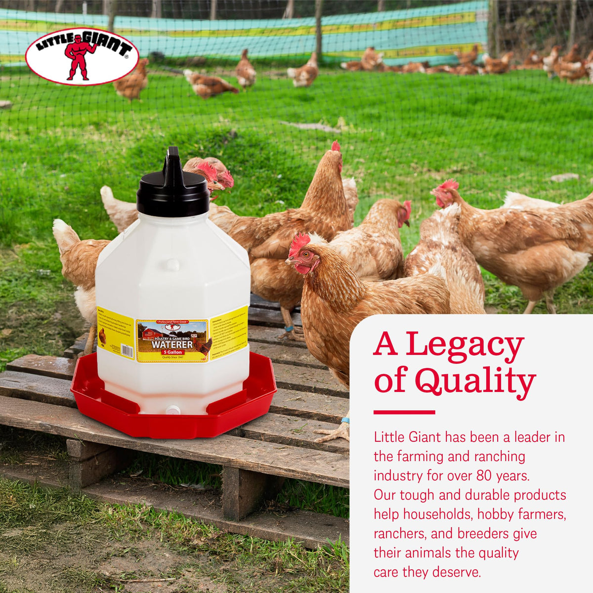 5 Gallon Hanging Automatic Poultry Waterer Dispenser, 2-Pack G915419